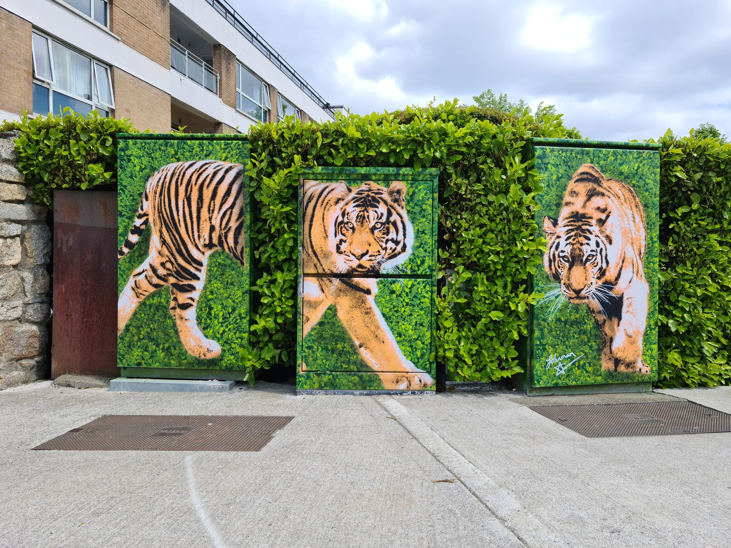 The Merrion Jungle
